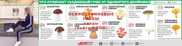ECSTASY Зерноград