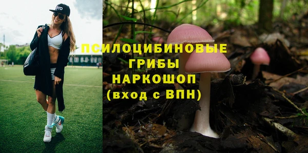 спайс Заволжск