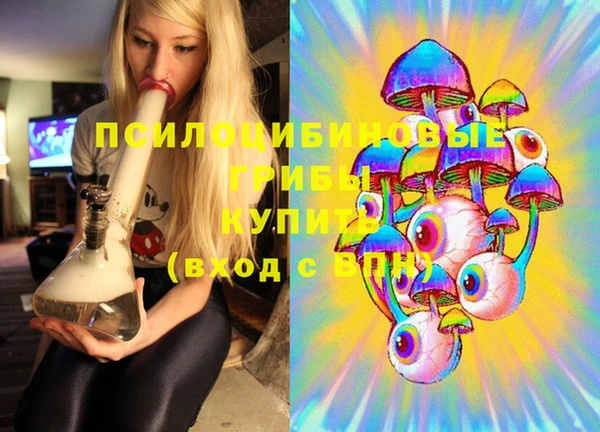 не бодяженный Заводоуковск
