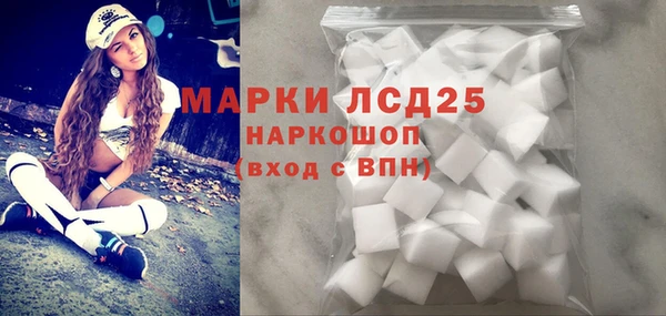 2c-b Ельня