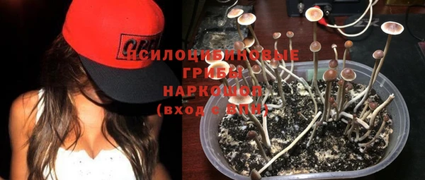 не бодяженный Заводоуковск
