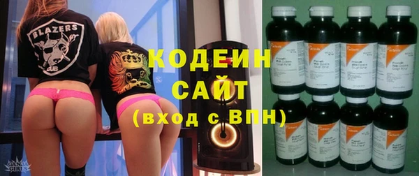 не бодяженный Заводоуковск