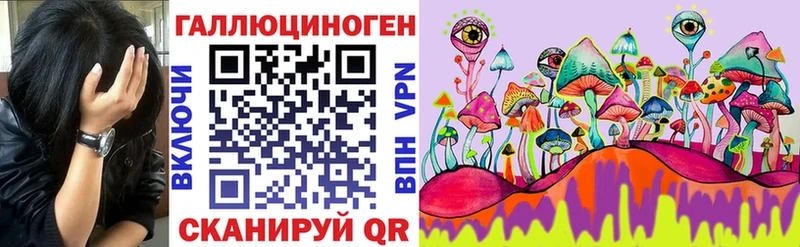 Галлюциногенные грибы Psilocybine cubensis Пятигорск