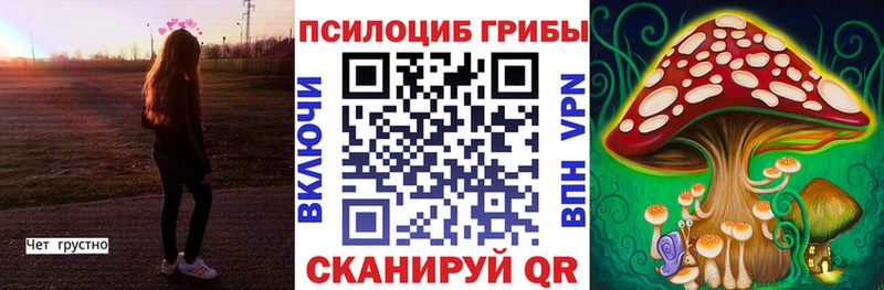 МЕГА ТОР Пятигорск Псилоцибиновые грибы MAGIC MUSHROOMS